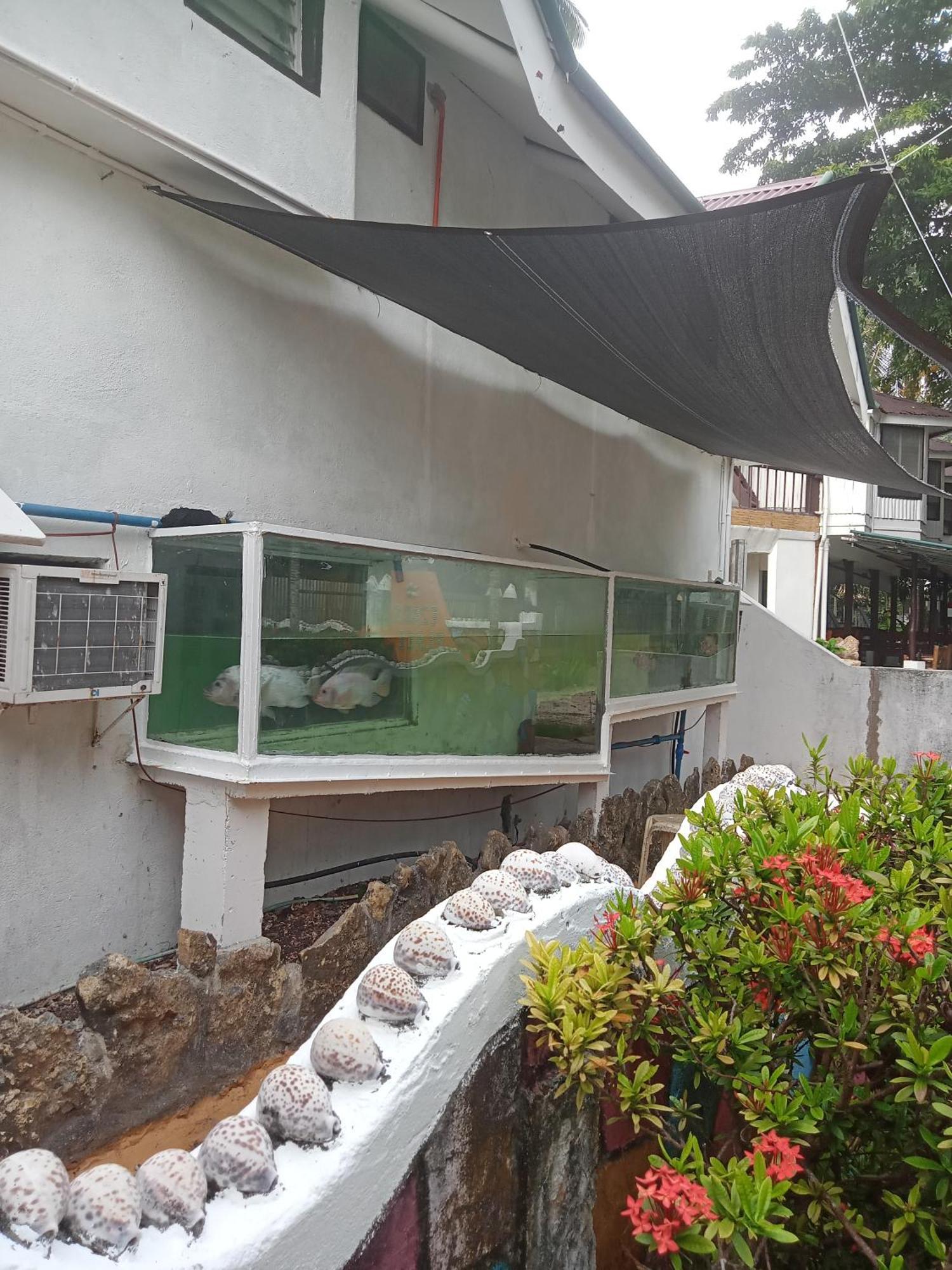 Czar'S Place Siquijor Εξωτερικό φωτογραφία